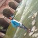 Profile Picture of Vijendra Vijendra Kumar (@vijendra.vijendrakumar.50364) on Facebook