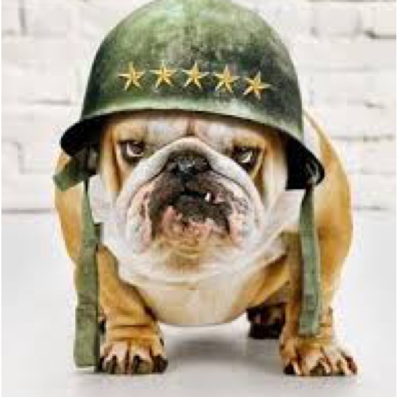 Profile Picture of Victor Pacheco (@vick909) on Poshmark