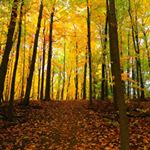 Profile Picture of Jeff Tucker (@jefftuckerphotography) on Instagram