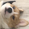 Profile Picture of John Hsu (@@john_hsu) on Tiktok