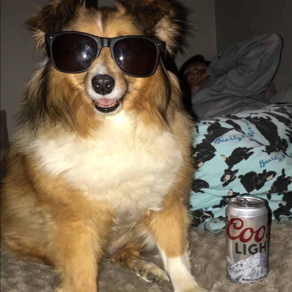 Profile Picture of Chris Gibson (@cgibson21471) on Poshmark