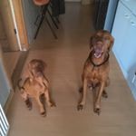 Profile Picture of Justin_Weinberger (@justin_weinberger2004) on Instagram