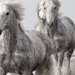 Profile Picture of Matthew Ballew (@matthew.ballew.1) on Instagram