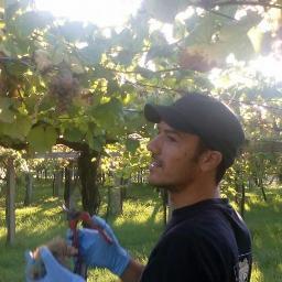 Profile Picture of Jose Martinez (@jose_taberneiro) on Twitter