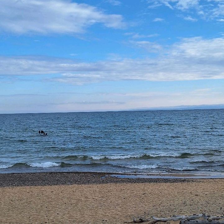 Profile Picture of Joseph Shankland (@josephshankland) on Tiktok