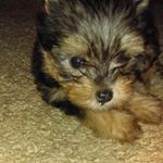 Profile Picture of Kyle velez (@velezkyle) on Instagram