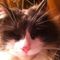 Profile Picture of Albert Thibault (@AlbertDucOrleans) on Facebook