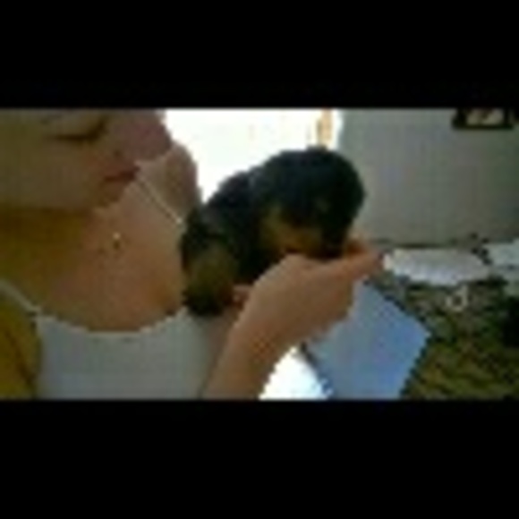 Profile Picture of Ariane Stutheit (@ariane88) on Poshmark