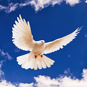 Profile Picture of Volker Frieden (@volkerfrieden6376) on Youtube