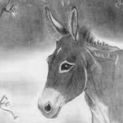 Dxnkiii - Twitter Profile Picture of Dxnkiii (@jeffrey_everitt) on Twitter