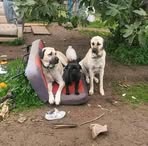 Profile Picture of David Harry (@David-Harry) on Facebook