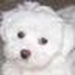 Andrea Pence - Flickr Profile Picture of Andrea Pence (@three pence) on Flickr