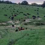 Profile Picture of Curtis Zimmerman (@Curtis-Zimmerman) on Facebook