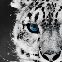 Profile Picture of Tess Walker (@tess-walker-6) on Quora