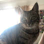 Profile Picture of Luke Metcalfe (@lukemetcalfe5185) on Youtube