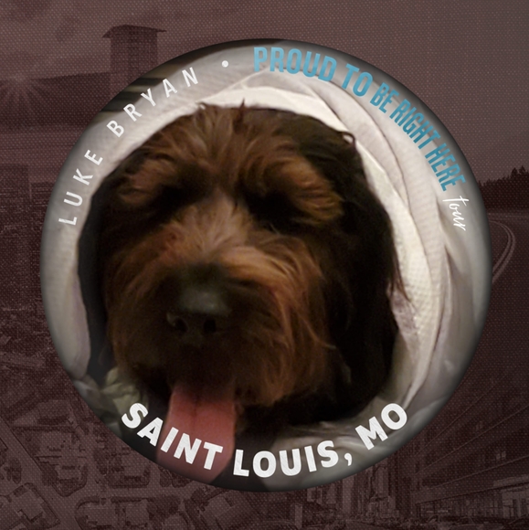 Profile Picture of Pamela denise Obstarczyk (@dobstarczyk) on Poshmark