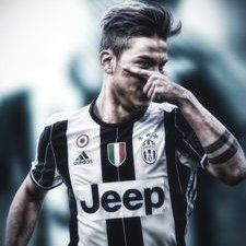 Profile Picture of Robin Frey (@robinfry24) on Twitter