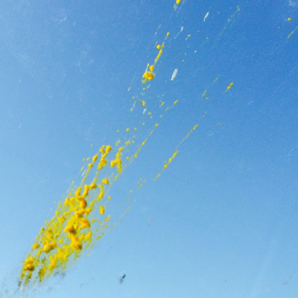 Profile Picture of Javier Ontiveros (@rayyuske) on Poshmark