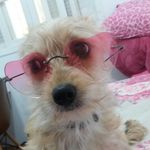 Profile Picture of Eduarda Cybis Silva (@duda_e_luna_youtubers) on Instagram