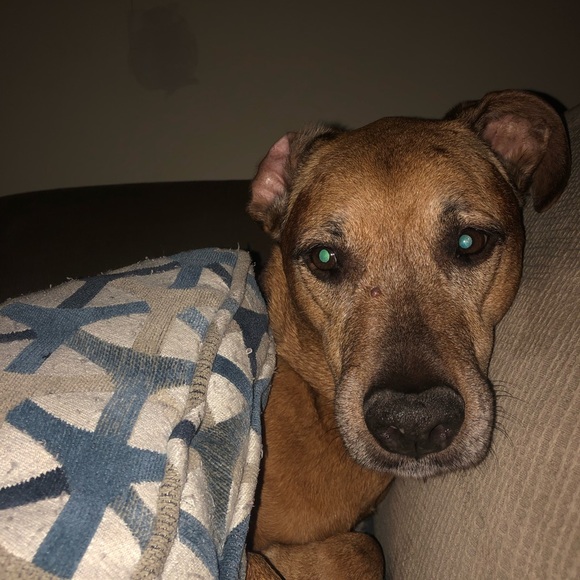 Profile Picture of Sean Snodgrass (@seans883) on Poshmark