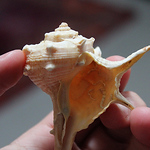 Profile Picture of Nico Gomez-Fernandez (@Nico Gomez-Fernandez) on Flickr