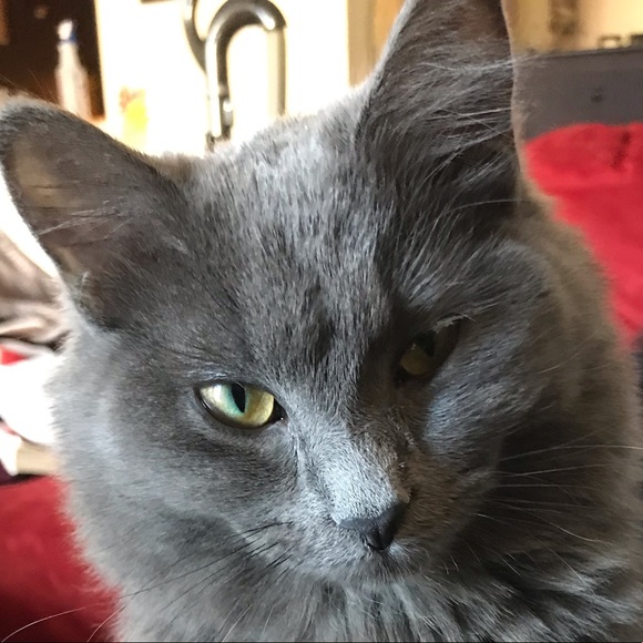 Profile Picture of Tori Sleaper (@torisleaper) on Poshmark