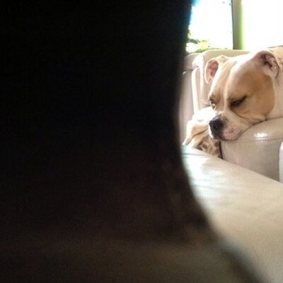 Profile Picture of Matt Myatt (@matt_54321) on Twitter