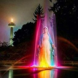 Profile Picture of Mandy Rojas (@mandyrojasdt) on Twitter