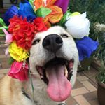 Michael Nason - Instagram Profile Picture of Michael Nason (@nasonosan) on Instagram