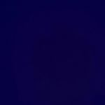 Profile Picture of Gish Foogle (@kevinthemanatee) on Instagram