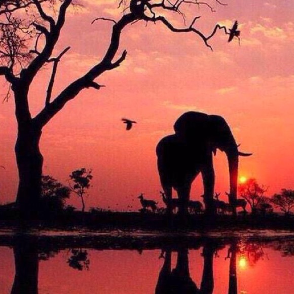 Katie Kastner - Poshmark Profile Picture of Katie Kastner (@katiekastner) on Poshmark