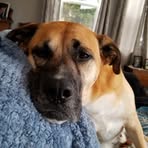 Profile Picture of Heather Stebeck (@Heather-Stebeck) on Facebook