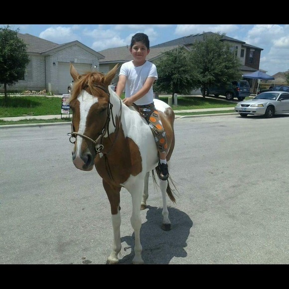 Profile Picture of Christopher Tellez (@chrtel) on Poshmark