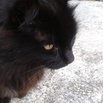 Profile Picture of BraydenJames (@BraydenJames9) on Twitter