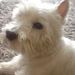 Profile Picture of Alan Upton (@alanuptonjnr) on Pinterest