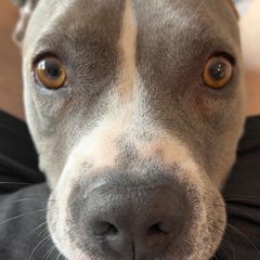 Profile Picture of Scott (@scifibuff) on Tiktok