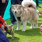 Profile Picture of Jeff Colin Whitworth (@jeff_whitworth_) on Instagram