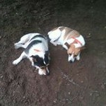 Tommy Appleby - Instagram Profile Picture of Tommy Appleby (@tommyappleby1964) on Instagram