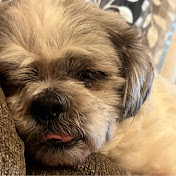 Profile Picture of Robin Carlson (@robinbobin17) on Youtube