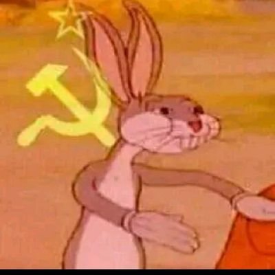 Profile Picture of Júlia Gabriela Schorr Sontag (@schorr_julia) on Twitter