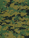 Profile Photo of MARPAT - Wikipediaon Wikipedia