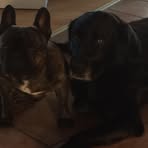 Profile Picture of Thomas Seefeldt (@Thomas-Seefeldt) on Facebook