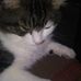 Profile Picture of Deborah Detrick (@deborah.detrick.5) on Facebook