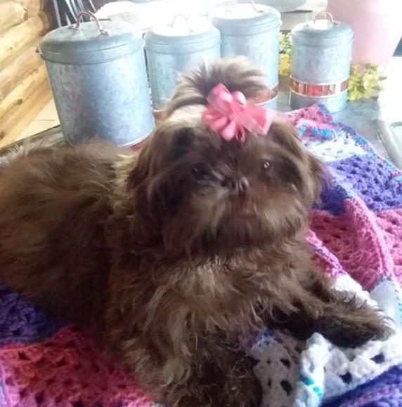 Profile Picture of Pat Perry (@mikesperry1952) on Poshmark