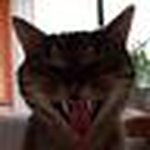 Profile Picture of Der-dirk (@der-dirk) on Flickr