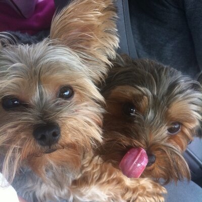 Profile Picture of Luke Photivihok (@@lukasper86) on Twitter