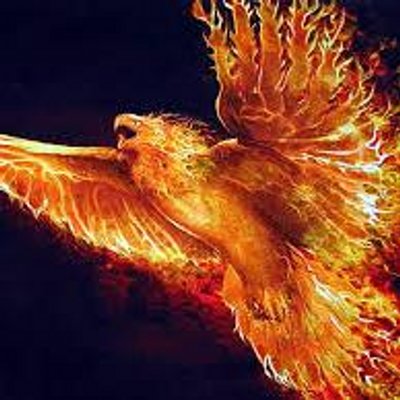 Profile Picture of Joe Blaster (@joeblaster1305) on Twitter
