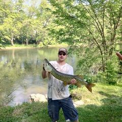 Profile Picture of Josh Kiner (@josh.kiner) on Tiktok