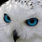 Simone Hart - Instagram Profile Picture of Simone Hart (@monie.hart) on Instagram