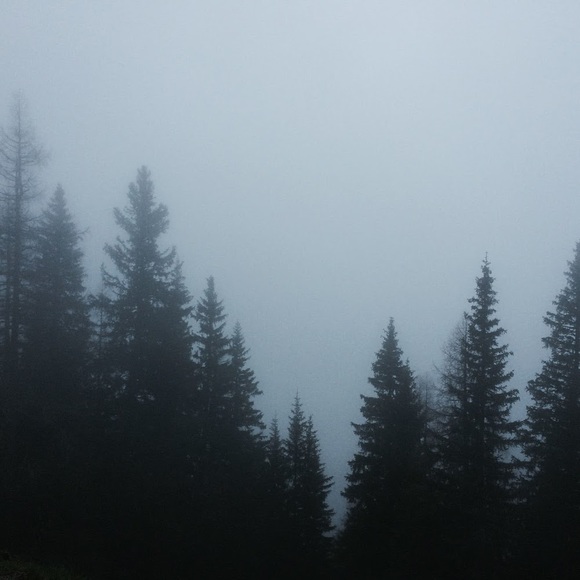 Profile Picture of Filippa Vollet (@filippavollet) on Poshmark